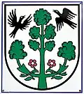 Coat of arms of Veľké Borové