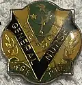 State Registered Nurse (RN) General Badge formerly awarded by the Victorian Nursing Council (1958-1993)