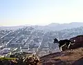 View from the hill