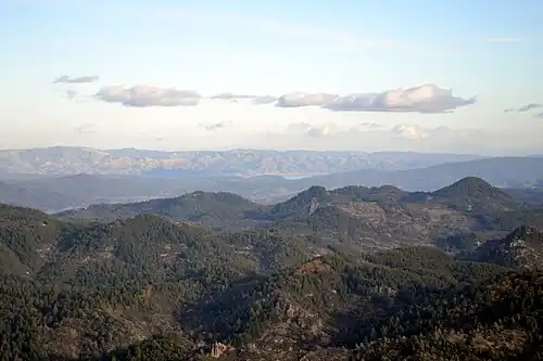 Another view