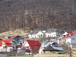 Viișoara