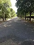 A five hundred meter avenue lined with trees leads to the front door of the Villa.