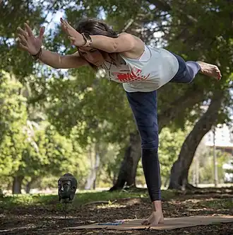 Virabhadrasana III