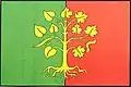 Flag of Chleny
