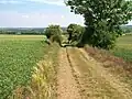 Chemin Haussé&nbsp;[fr] on the Caen plain.