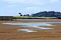 The Waiuku River at low tide in 2000