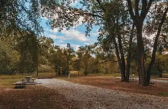 Campsite