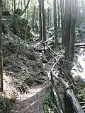 Water Mill’s Route