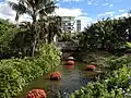Water feature