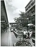 Wellington City – Streets Publicity Caption Wellington City Views. Cuba Street Shopping Mall Photographer G Hutchinson