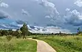 Walking path near Lizard Log