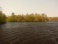 possibly Tree Island Crannog, Whitefield Loch - Machermore Loch