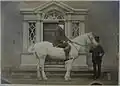 His father on a horse, Lissrenny, circa 1870.