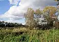 Winnall Moors
