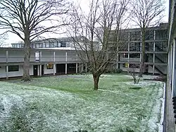 Tree Quad