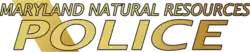 Wordmark