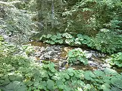 Upper course