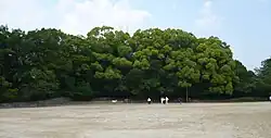 Yamashina Honganji and Nanden Site