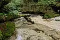 Yodo River