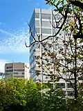 Arboretum, neighboring SIA and UBS buildings