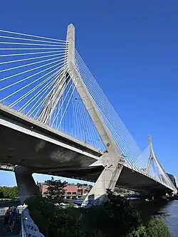 View from below