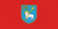 Flag of Knin