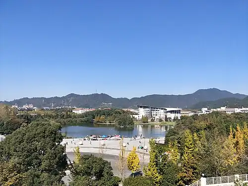 Overlooking the library