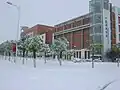 snowy winter scenery