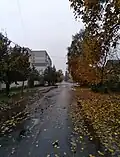 Kalynova street