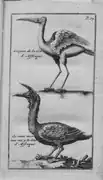p.&nbsp;14