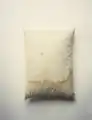 The pillow Abraham Lincoln died on